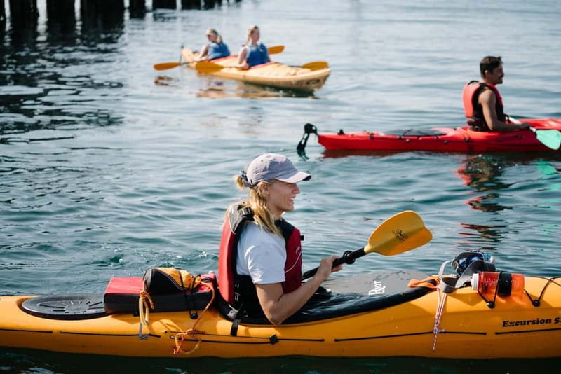 From Svolvær: Lofoten Guided Kayak Experience - Key points to know before you paddle