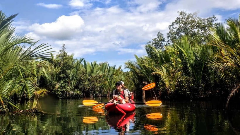 From Tagbilaran City/Panglao Island: Bohol Mangrove Kayaking - Why the Abatan River feels different from a beach excursion