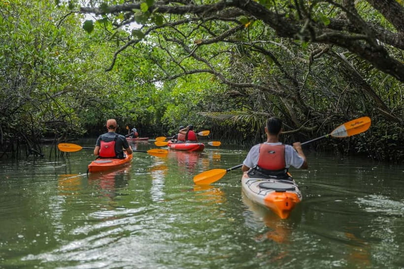From Tagbilaran City/Panglao Island: Bohol Mangrove Kayaking - Getting comfortable in the kayak