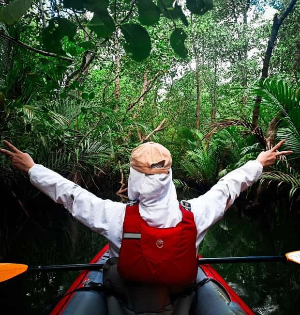 From Tagbilaran City/Panglao Island: Bohol Mangrove Kayaking - Conservation that has a practical purpose