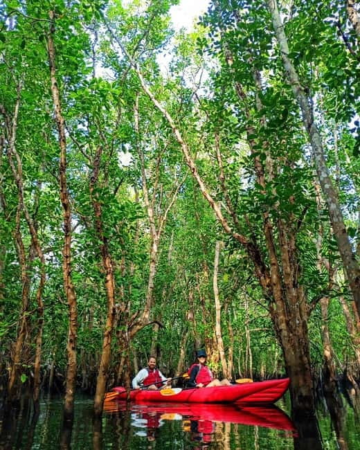 From Tagbilaran City/Panglao Island: Bohol Mangrove Kayaking - Is $64 a fair price?