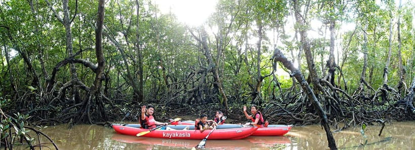 From Tagbilaran City/Panglao Island: Bohol Mangrove Kayaking - The trip from pickup to paddle