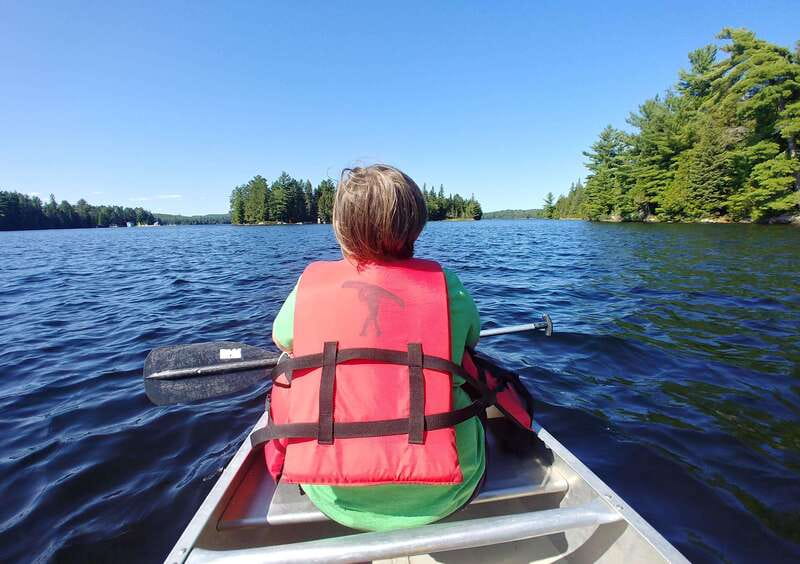 From Toronto: Algonquin Park Canoeing & Hiking Adventure - Who should book this Algonquin day trip?