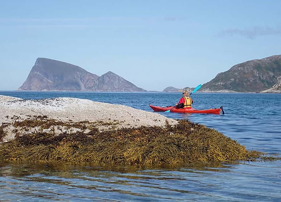 From Tromsø: Sea Kayaking Tour at Sommarøy - Paddling the sheltered sounds