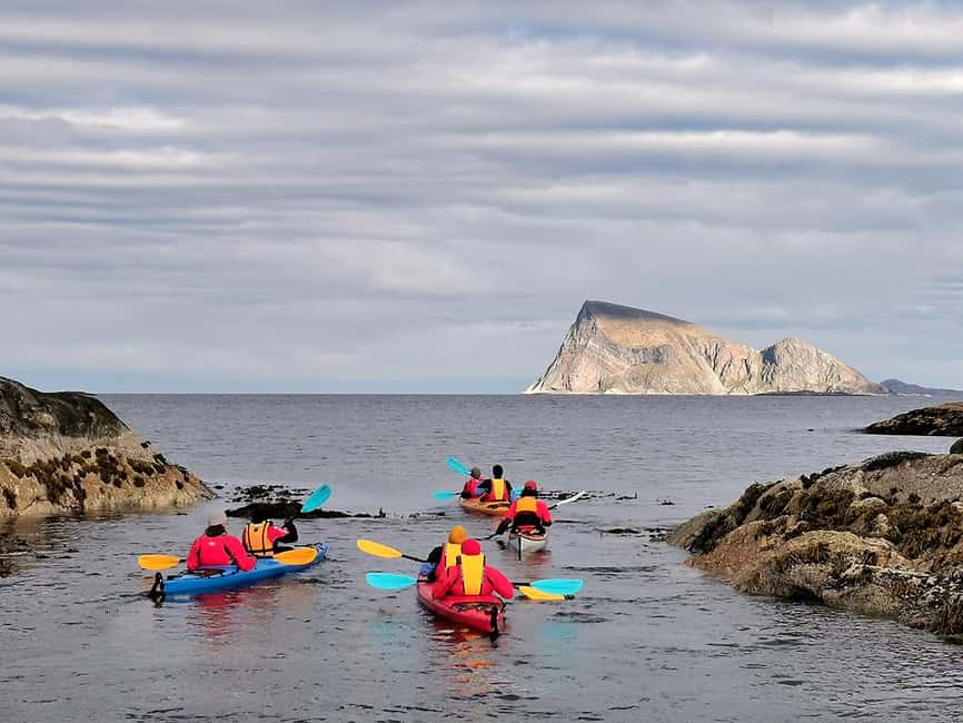 From Tromsø: Sea Kayaking Tour at Sommarøy - Wildlife, seabirds, and the local story