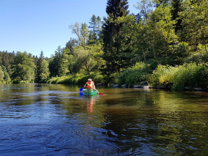 From Viechtach: Regen River Canoe Tour to Höllensteinsee - Who will enjoy this canoe trip most?