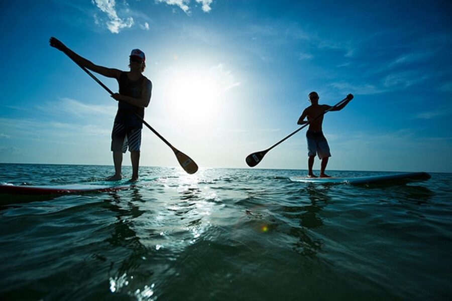 Fuerteventura: 1.5-Hour SUP Course - Caleta de Fuste - Key points at a glance
