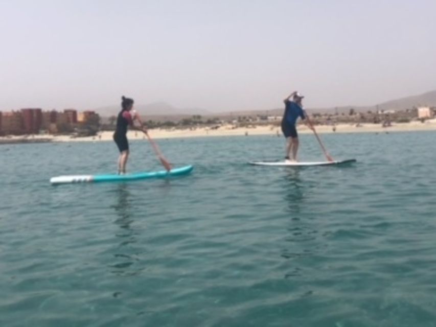 Fuerteventura: 1.5-Hour SUP Course - Caleta de Fuste - Learning SUP on Caleta de Fuste’s calm water
