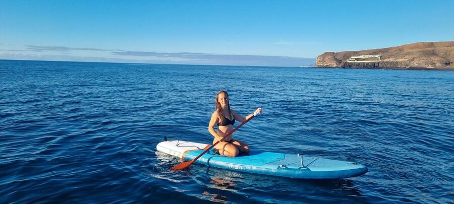 Fuerteventura : Stand Up Paddle - Transfers from the southern resorts