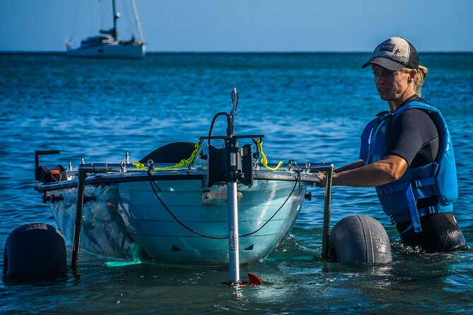 Fuerteventura: Transparent Electric Kayaks with Guide - Key points at a glance