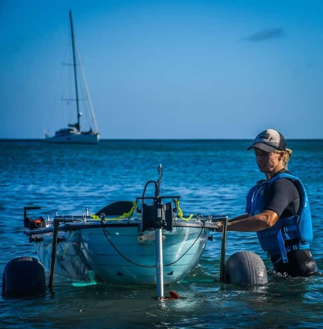 Fuerteventura: Transparent Electric Kayaks with Guide - Should you book the electric kayak tour?