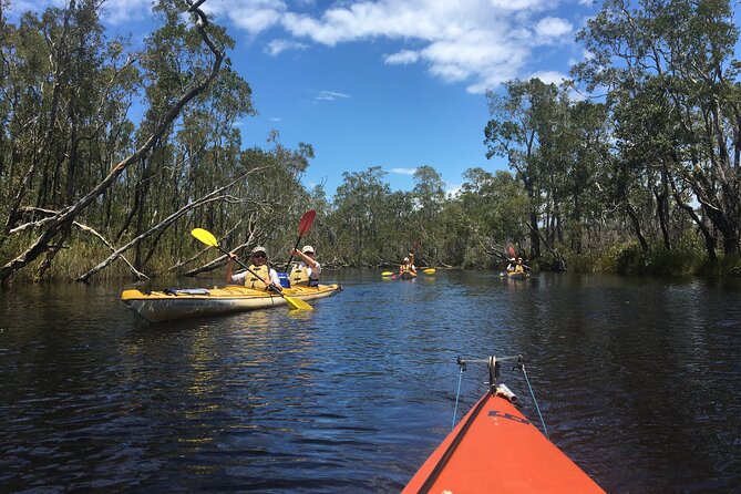 Full-Day Guided Noosa Everglades Kayak Tour - A swim and lunch beside the water