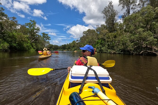 Full-Day Guided Noosa Everglades Kayak Tour - What the guide adds to the experience