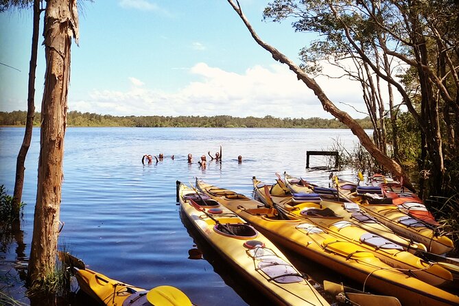 Full-Day Guided Noosa Everglades Kayak Tour - Who will enjoy this kayaking day