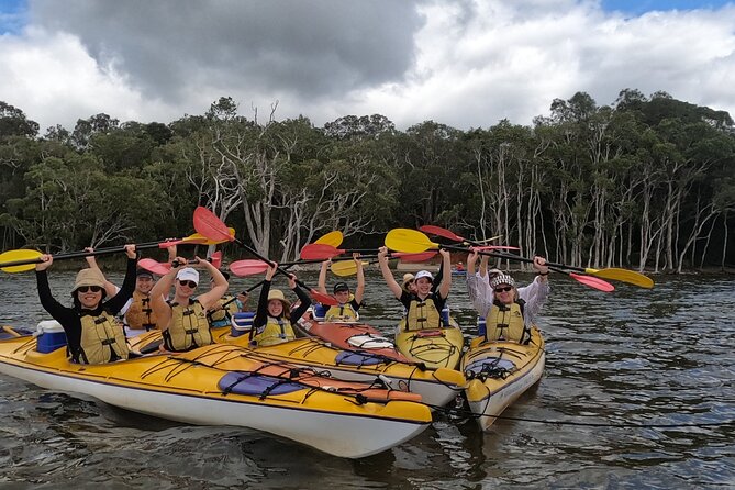 Full-Day Guided Noosa Everglades Kayak Tour - Following the Upper Noosa River