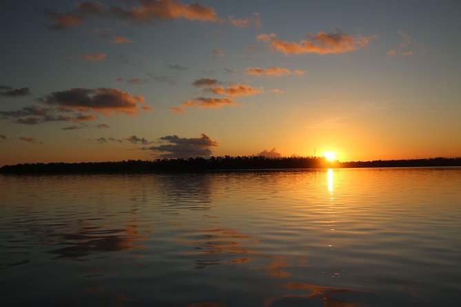 Full-Day Kayak Adventure in the Everglades - Booking, cancellation, and practical details