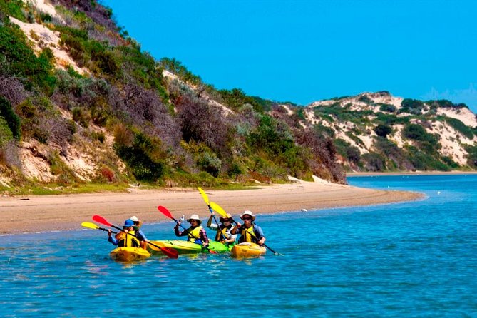 Full Day Kayaking Tour in Coorong National Park - Key points to know before you book