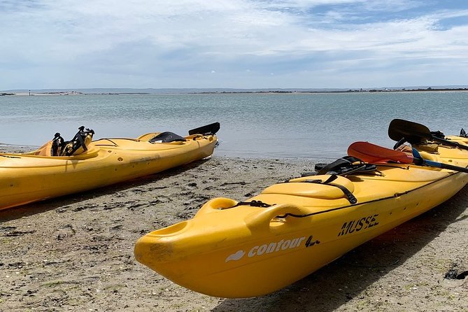 Full Day Kayaking Tour in Coorong National Park - The guides and the quality of interpretation
