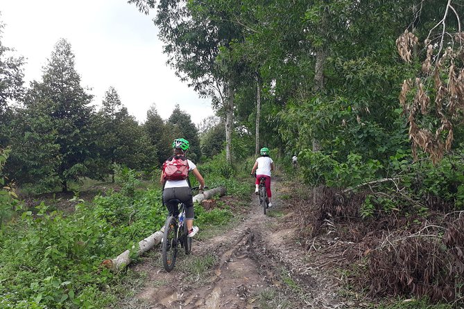 Full Day Off The Beaten Track the Mekong Delta. - Starting at 7 a.m. in central Ho Chi Minh City