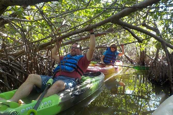 Fully Guided Kayaking Backwater Manatee and Dolphin Tour - Dolphins, manatees, and smaller surprises