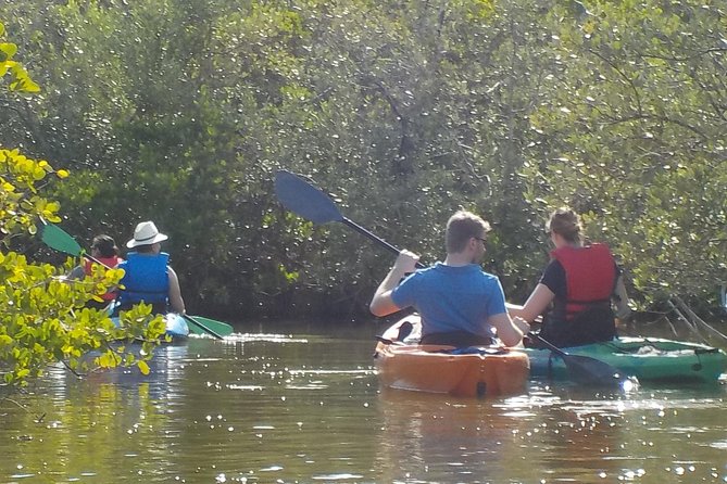 Fully Guided Kayaking Backwater Manatee and Dolphin Tour - A guide-led outing with a personal feel