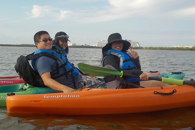 Fully Guided Kayaking Backwater Manatee and Dolphin Tour - How the $75 price works for you