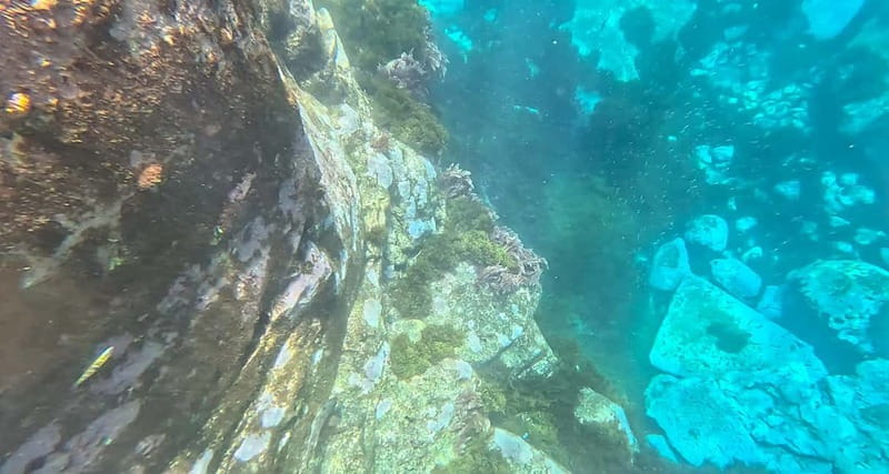 Funchal: Kayak and Snorkel Tour to Garajau NR - What the Garajau Natural Reserve adds