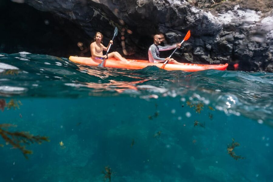 Funchal: KAYAK Rental or Guided tour with snorkeling - Starting below the Pestana Carlton