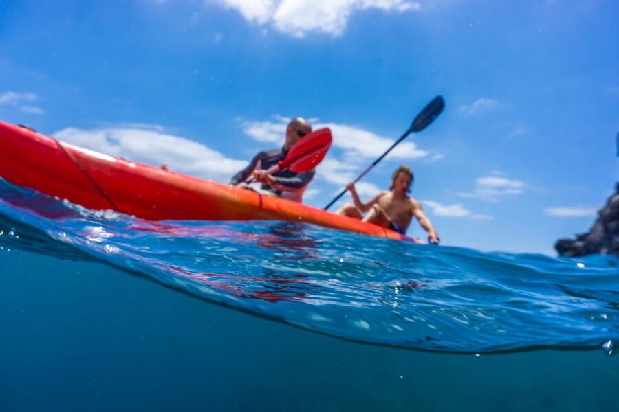 Funchal: KAYAK Rental or Guided tour with snorkeling - Choosing between the guided tour and rental