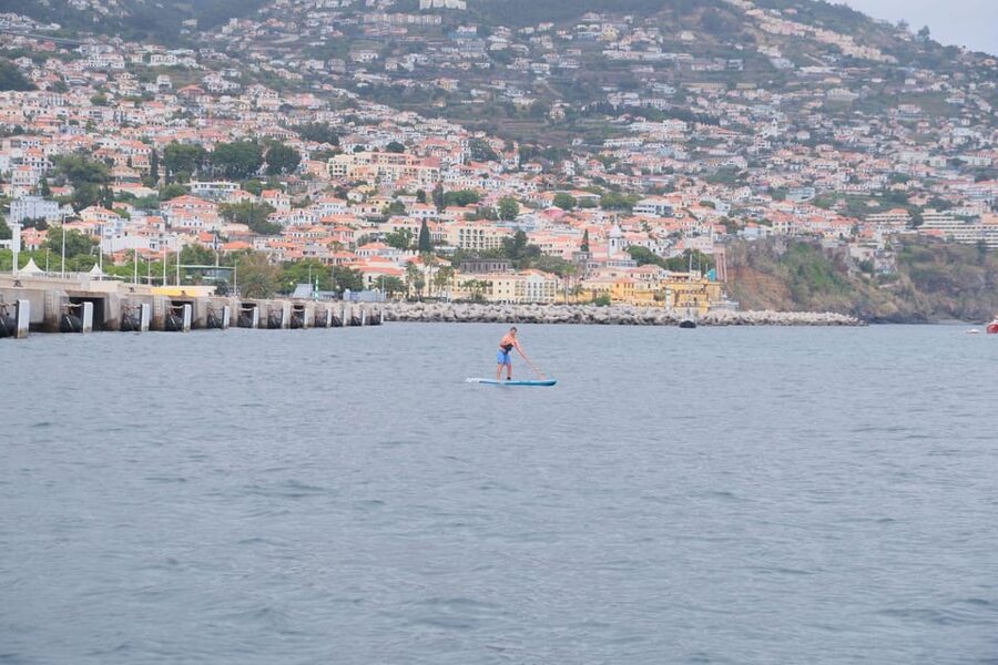 Funchal: Standup Paddle - A Simple Hour on the Water Near Funchal
