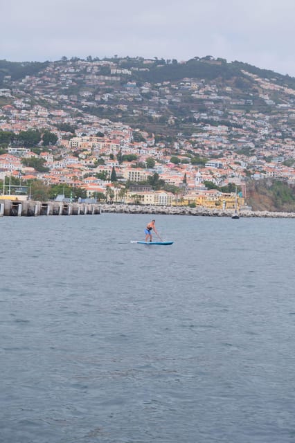 Funchal: Standup Paddle - Timing Your Visit and Handling Busy Periods