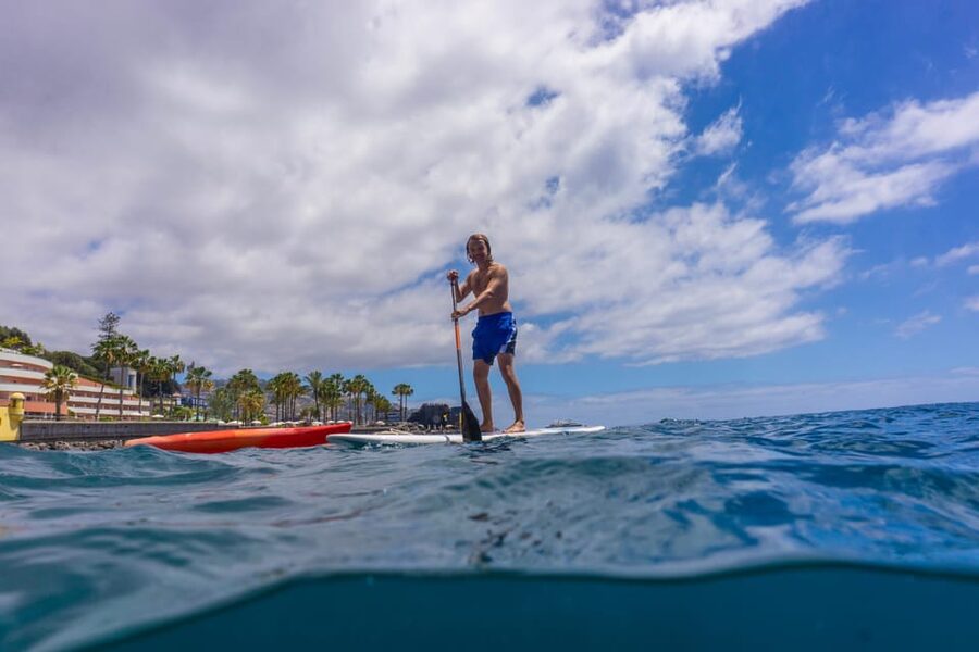Funchal: SUP Rental or Guided tour with snorkeling - Paddling the Atlantic for 90 minutes