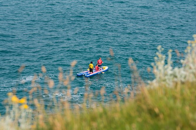 Giant Stand Up Paddle Boarding Experience in Newquay - Seal sightings and close coastal wildlife