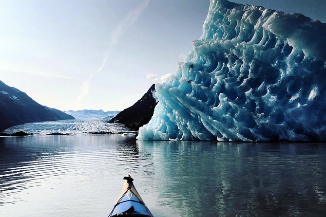 Glacier Blue Kayak & Grandview Tour - Why Spencer Glacier makes this an exceptional day trip