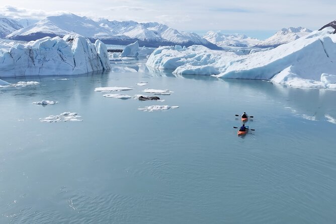 Glacier Blue Kayaking – Knik Glacier Day Tour from Anchorage - One hour of rough travel along Jim Creek