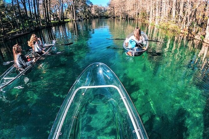 Glass Bottom Kayak Eco Tour through Rainbow Springs - Timing, weather, and the no-refund risk