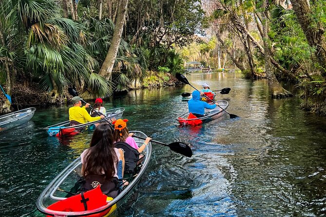 Glass Bottom Kayak Tours of Silver Springs - Why Silver Springs looks different from a normal kayak trip
