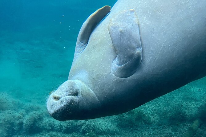 Glass Bottom Kayak Tours of Silver Springs - The first paddle: clear water and simple instruction