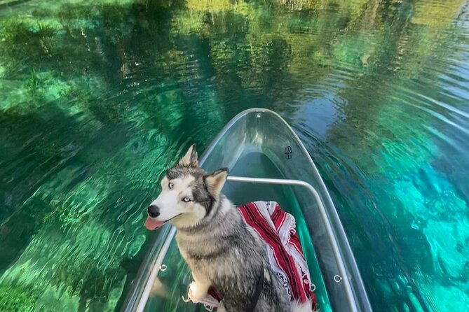 Glass Bottom Kayak Tours of Silver Springs - What the $84 price really includes