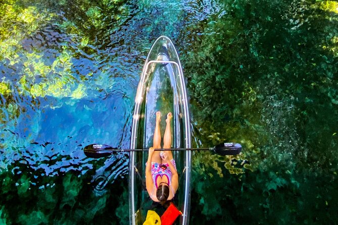 Glass Bottom Kayak Tours of Silver Springs - Who will enjoy this tour most
