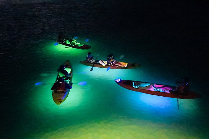Glow Through the Night with LED Kayak Adventure in Aruba - Why Aruba looks different after dark