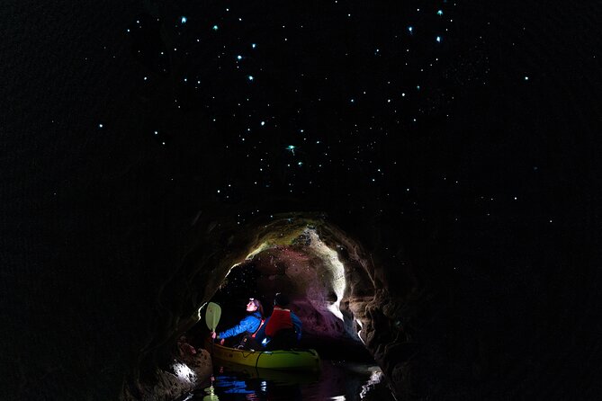 Glow Worm Kayak Tour - Why the glow worms feel different from a standard cave tour