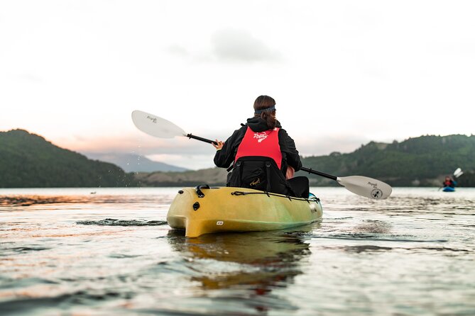 Glow Worm Kayak Tour - Inside the small glow worm caves