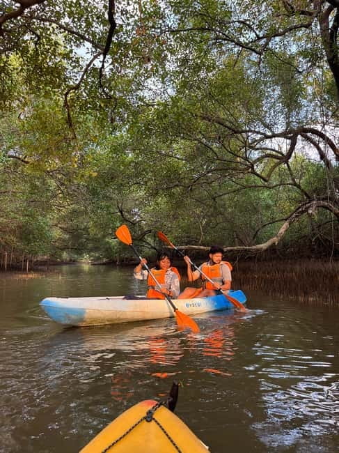 Goa: Backwater Kayaking Tour - Key points at a glance