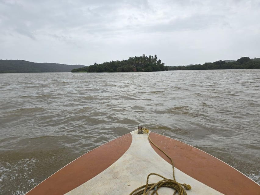 Goa: Backwater Kayaking Tour - Guide quality and what to expect