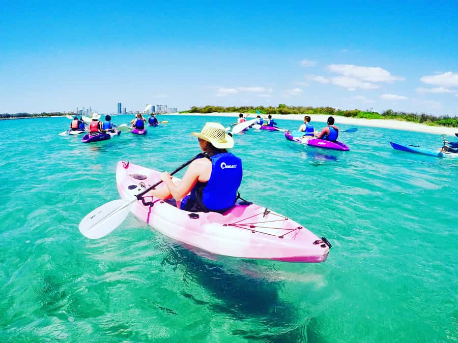 Gold Coast: Kayaking and Snorkeling Guided Tour - A gentle paddle across the Gold Coast Broadwater