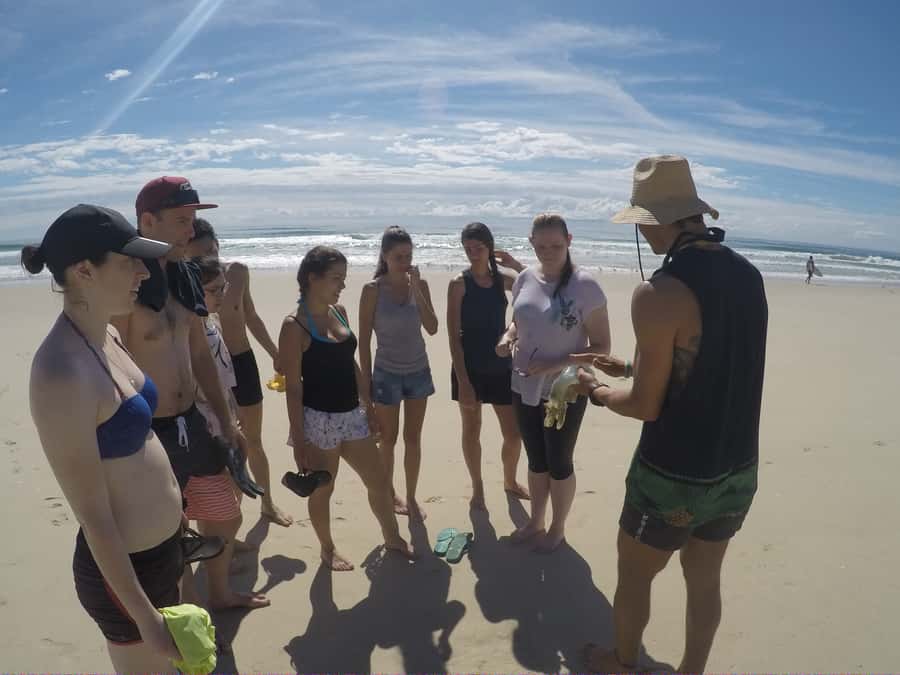 Gold Coast: Kayaking and Snorkeling Guided Tour - The practical cost at $53 per person