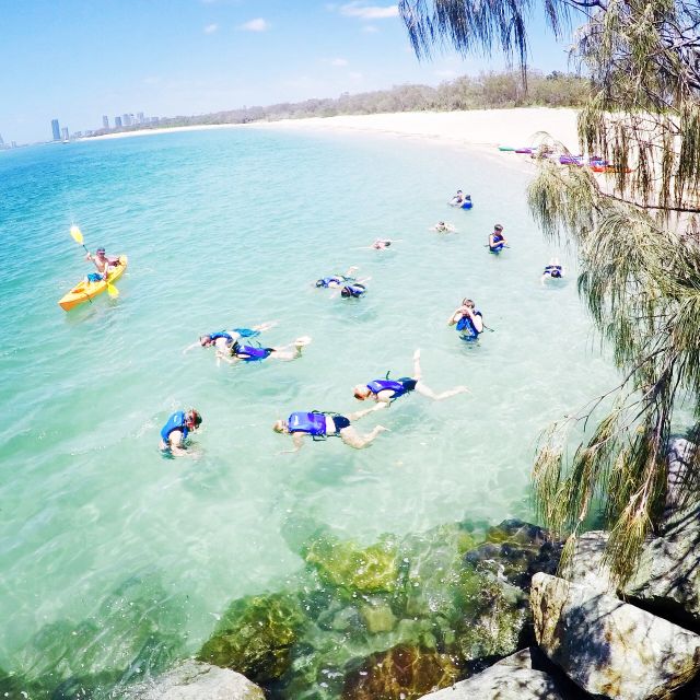 Gold Coast: Kayaking and Snorkeling Guided Tour - Should you book the Wavebreak Island tour?