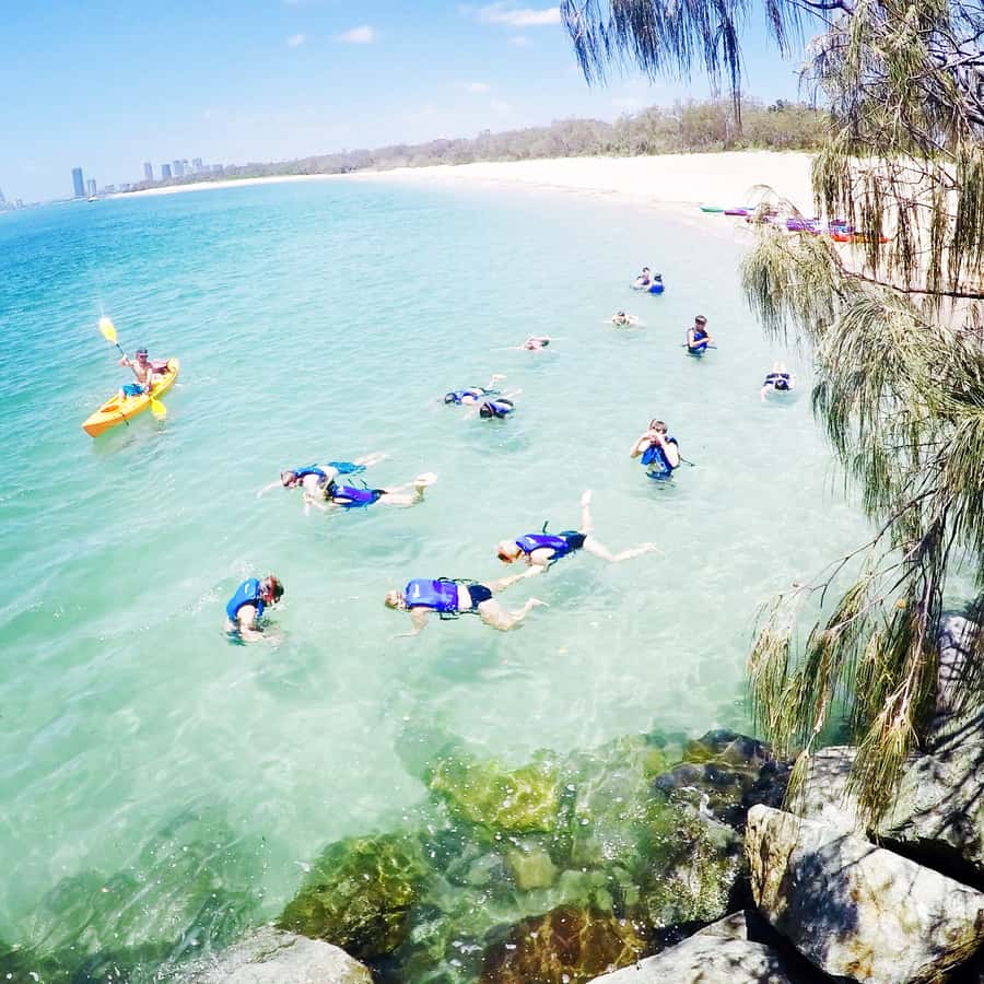 Gold Coast: Kayaking and Snorkeling Guided Tour - Reaching Wavebreak Island by kayak