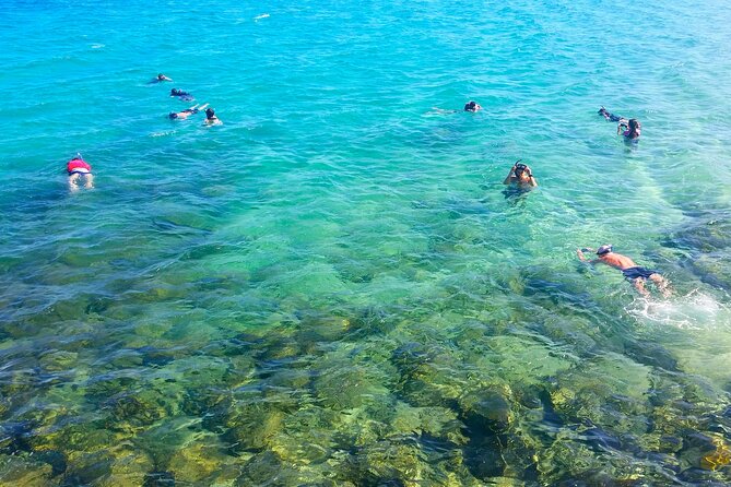 Gold Coast Kayaking & Snorkelling Tour (2.5 Hours) - Key points to know before booking